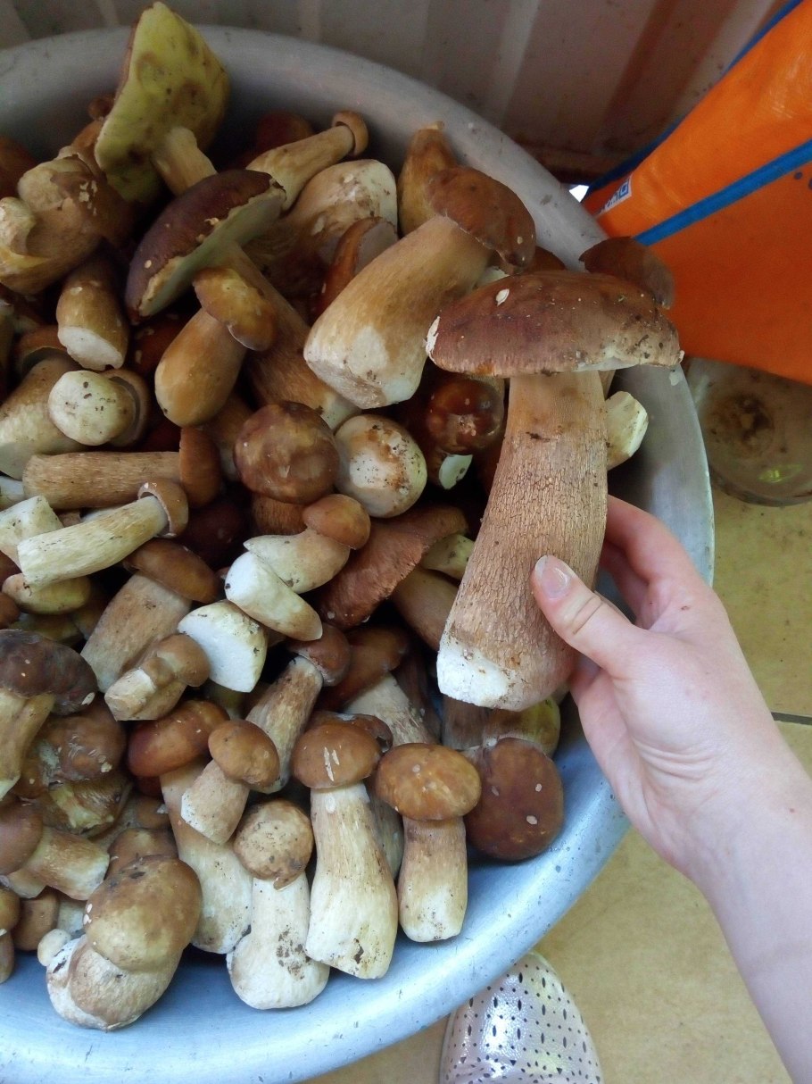 Польский гриб, 250 мл