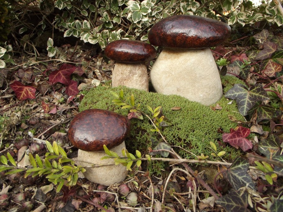 Гриб Болетус синеющий