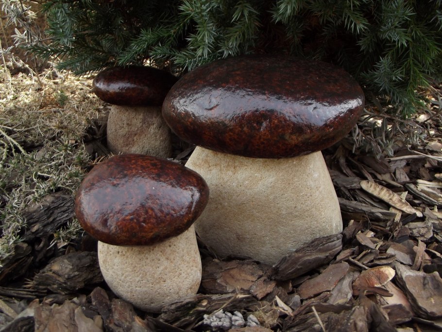 Польский гриб Imleria Badia