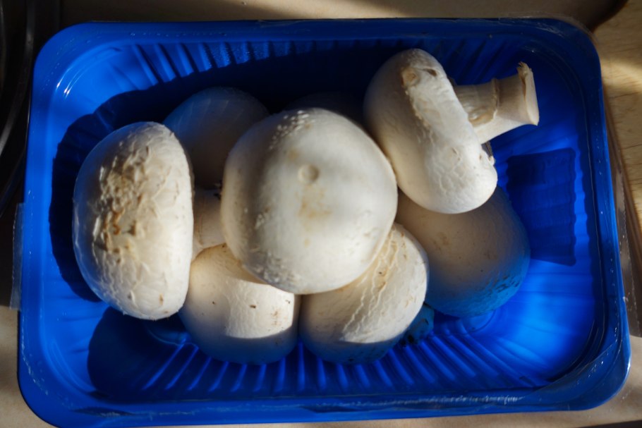 Королевские шампиньоны красивое фото