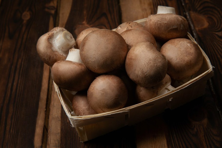 Шампиньоны Портобелло