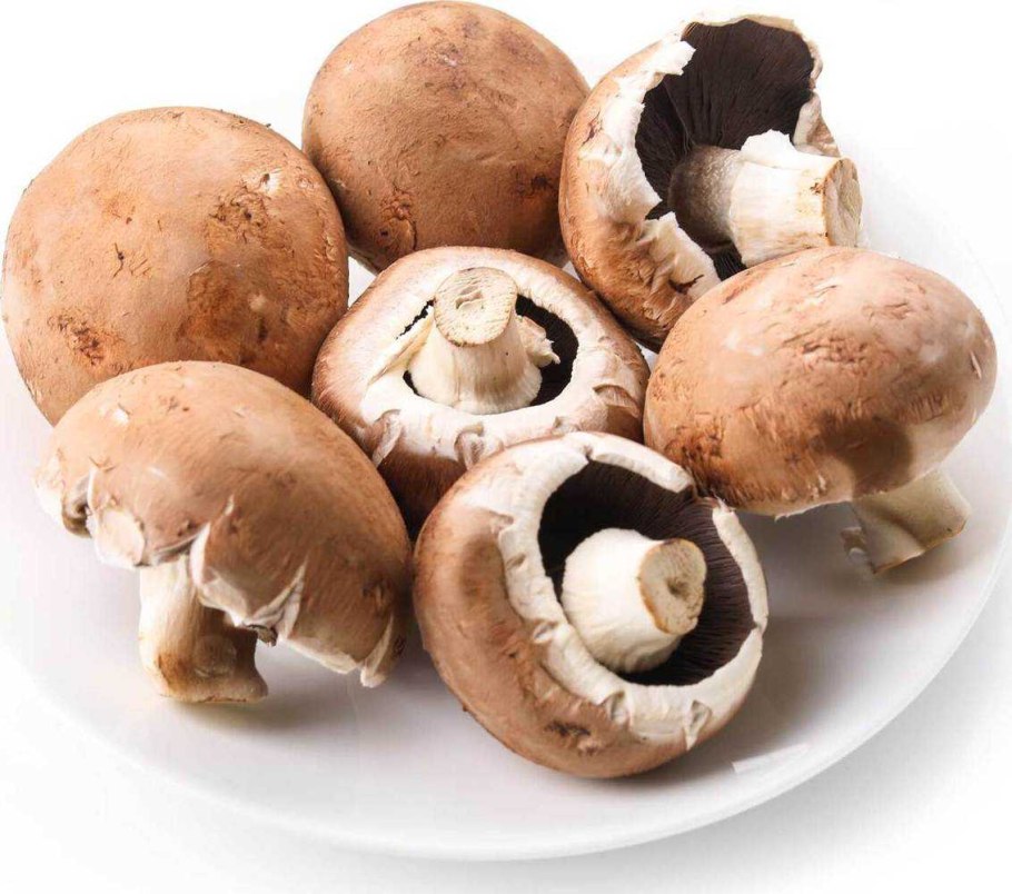 Молодые шампиньоны