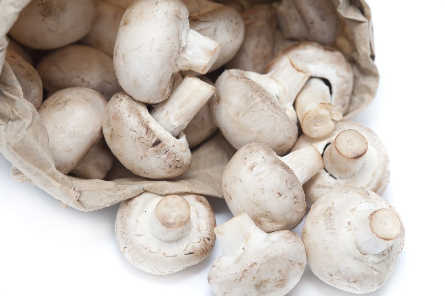 Шампиньоны Агарикус