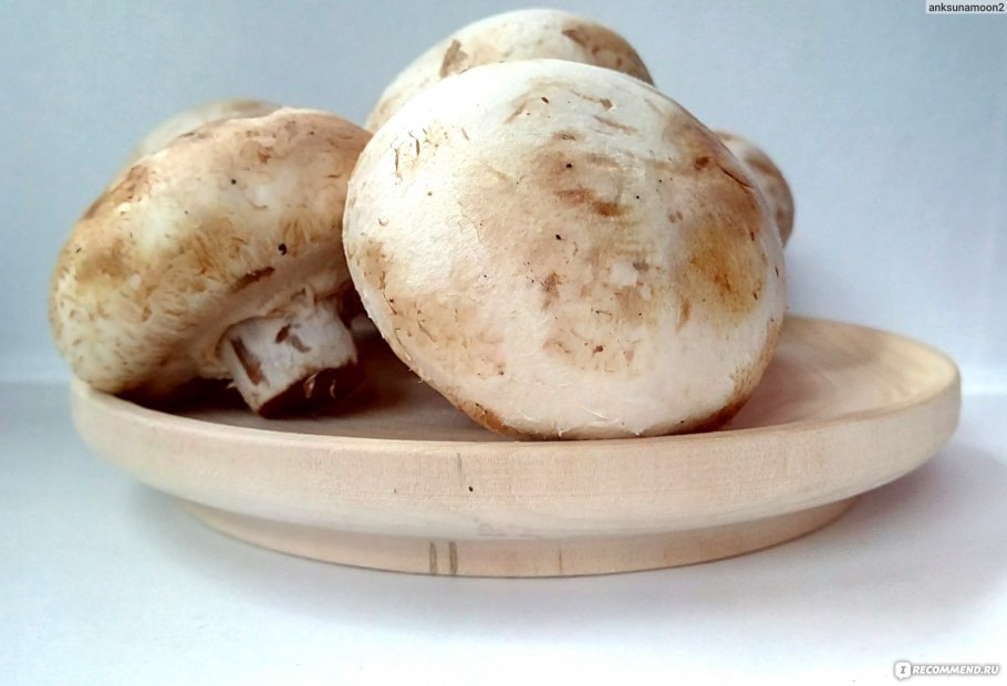 Шампиньон коричневый (60 мл.)