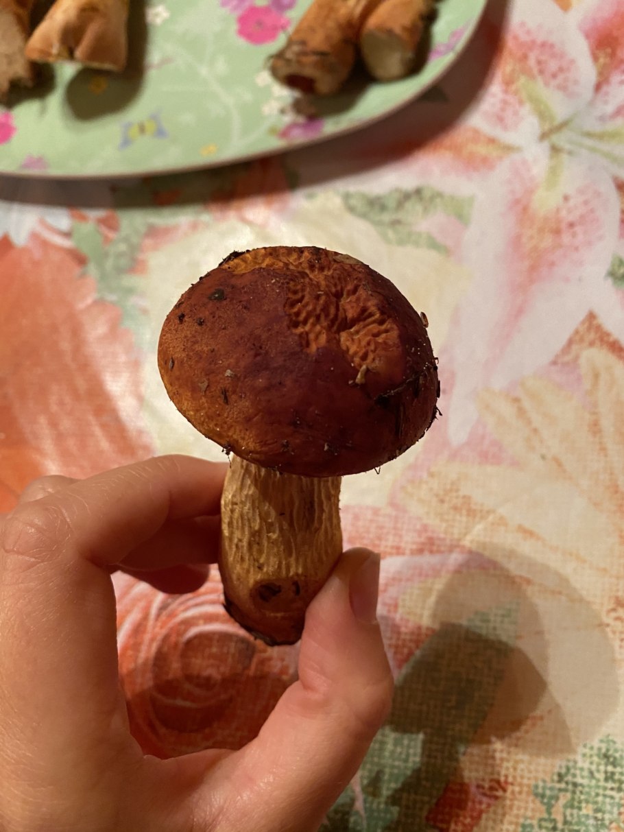 Болетус синеющий