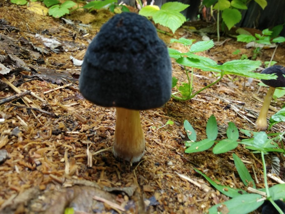 Декор для дачи из шпалы