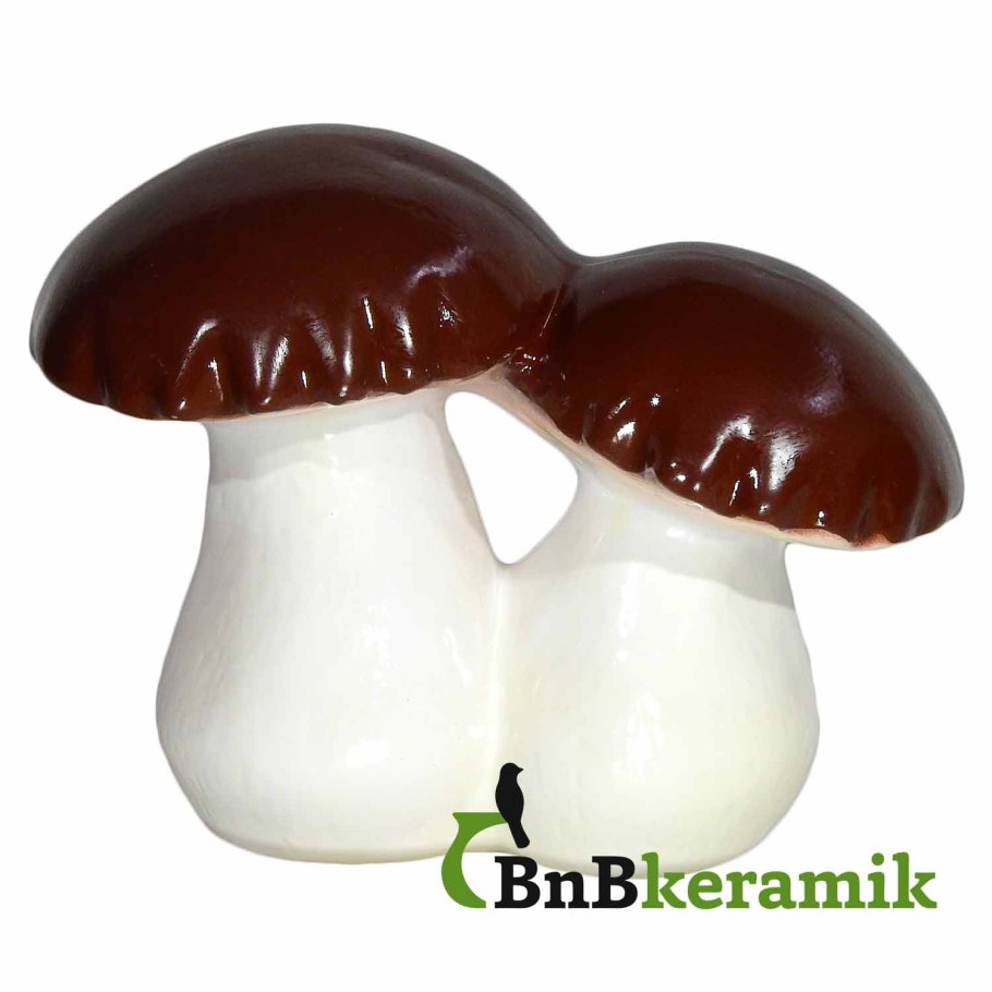 Белые грибы дома