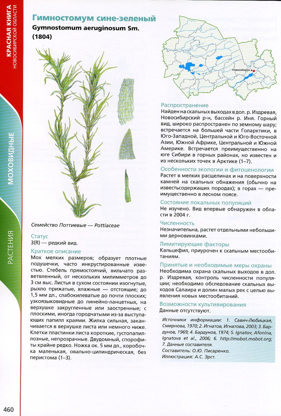 Гимностомум Северный