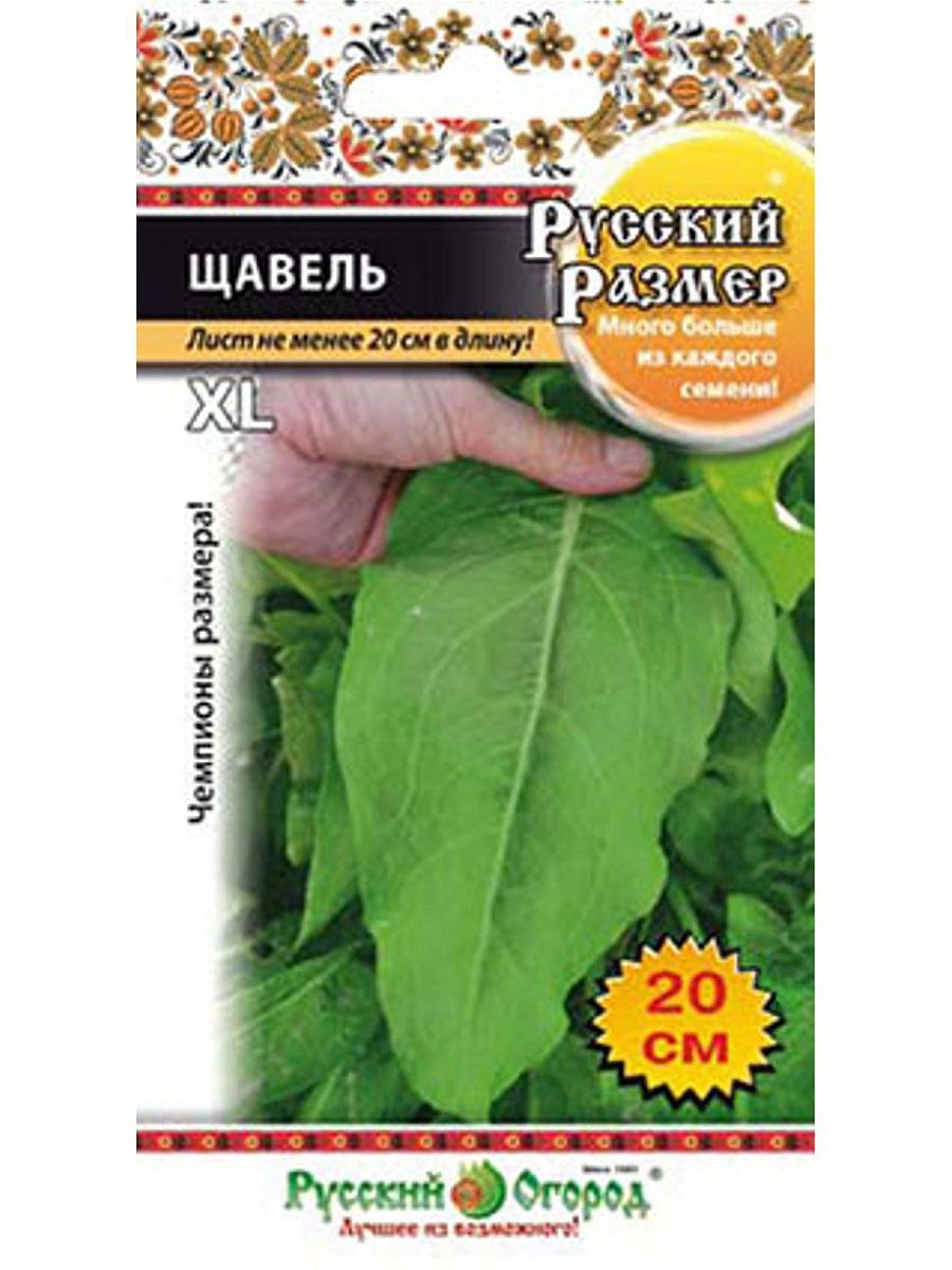 Щавель курчавый