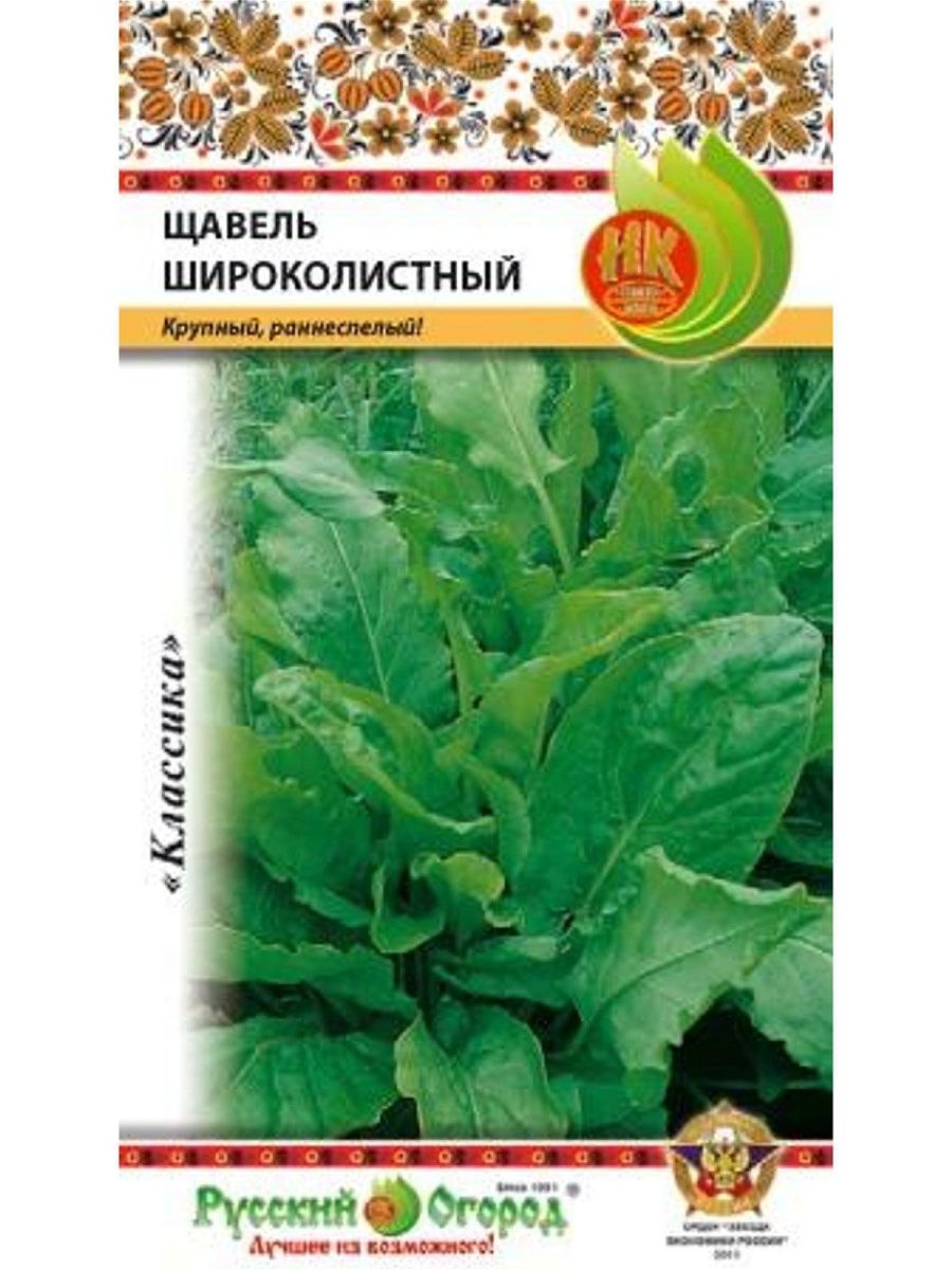 Щавель обыкновенный, кислый