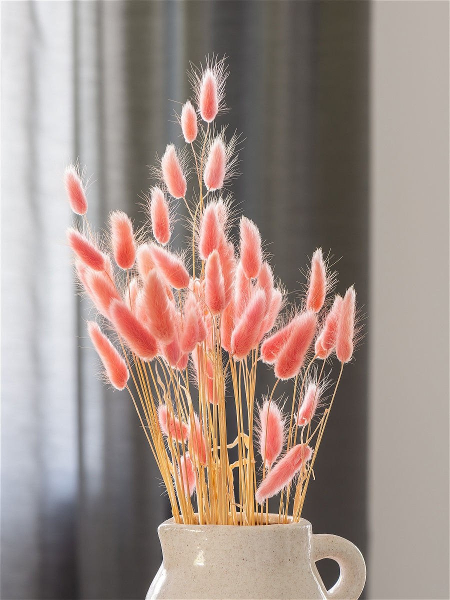 Лагурус Леся