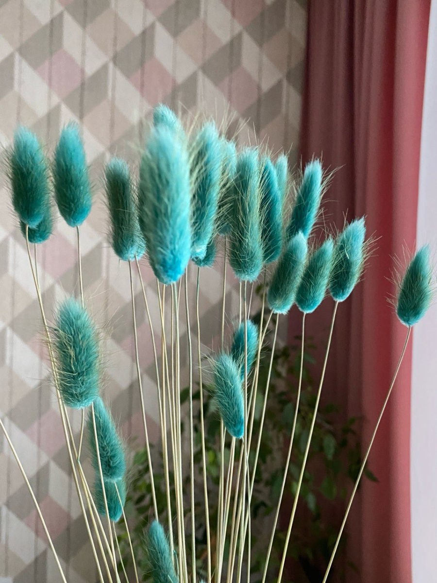 Зайцехвост лагурус букет