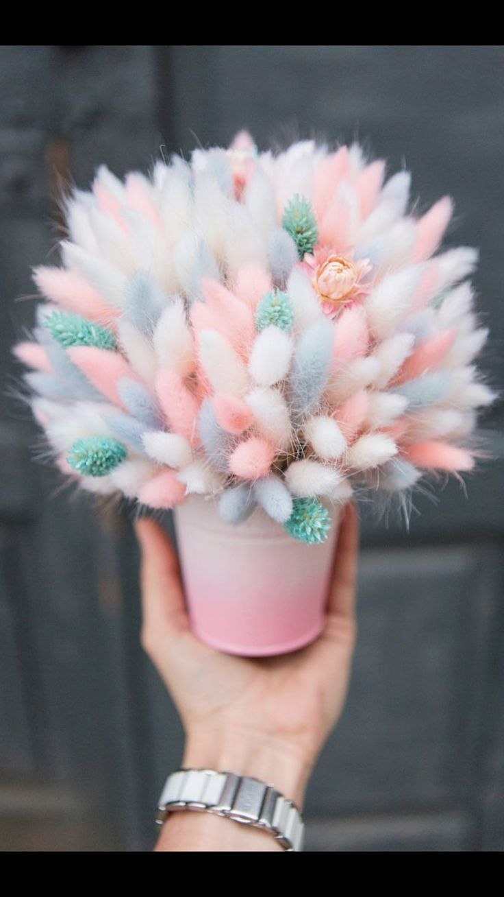 Зайцехвост