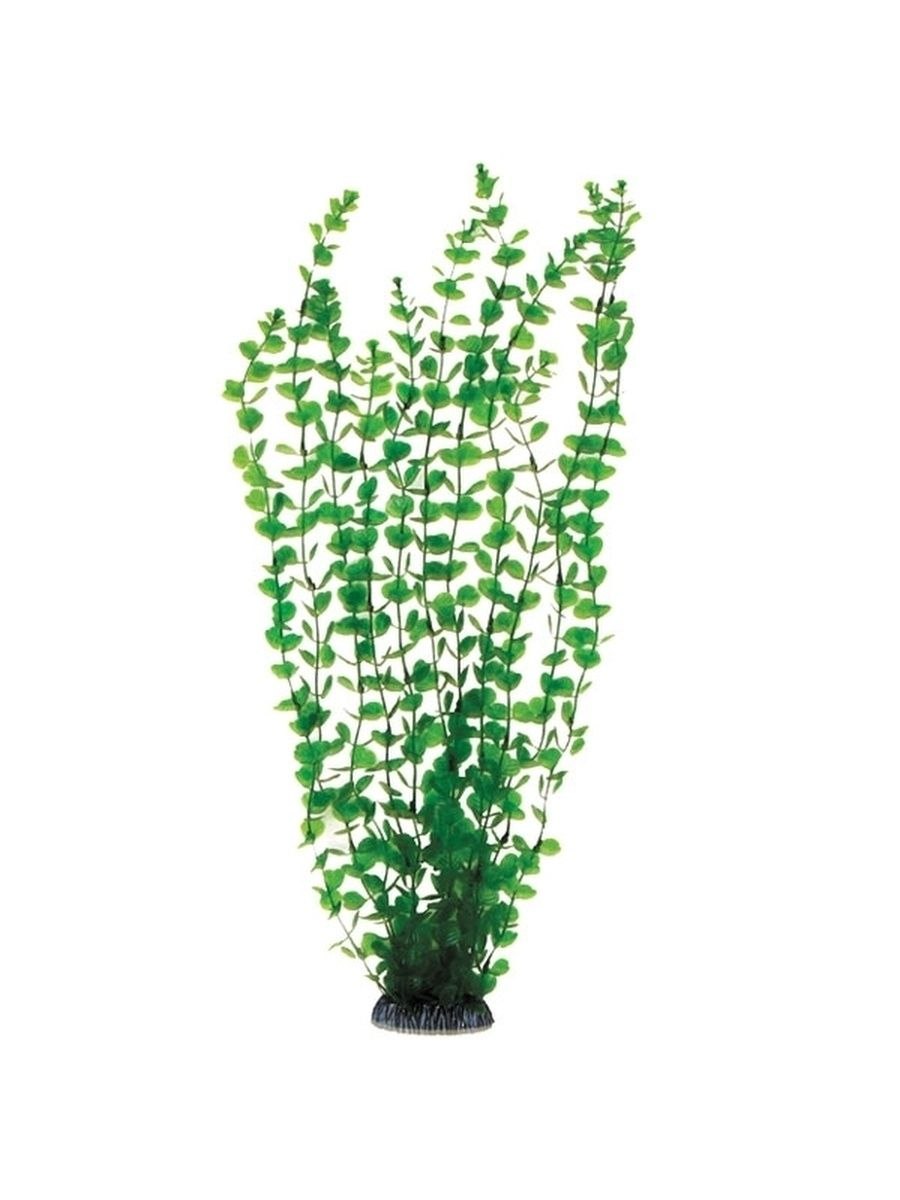 Искусственное растение Barbus Людвигия 50 см