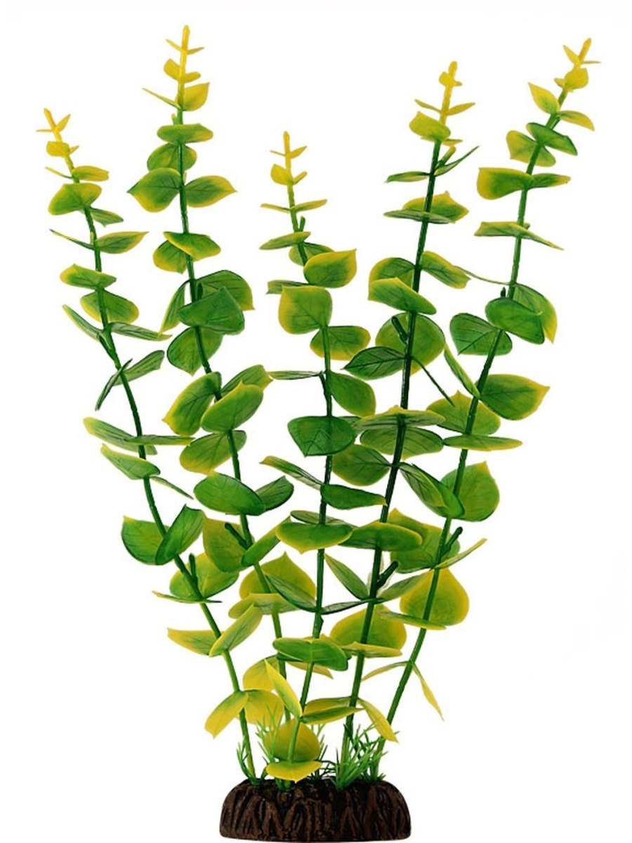 Бакопа Scopia Pink