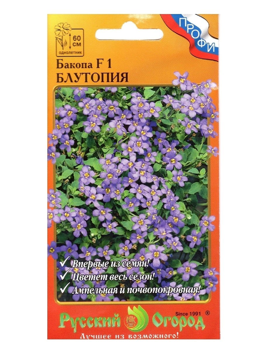 Бакопа ампельная Блутопия