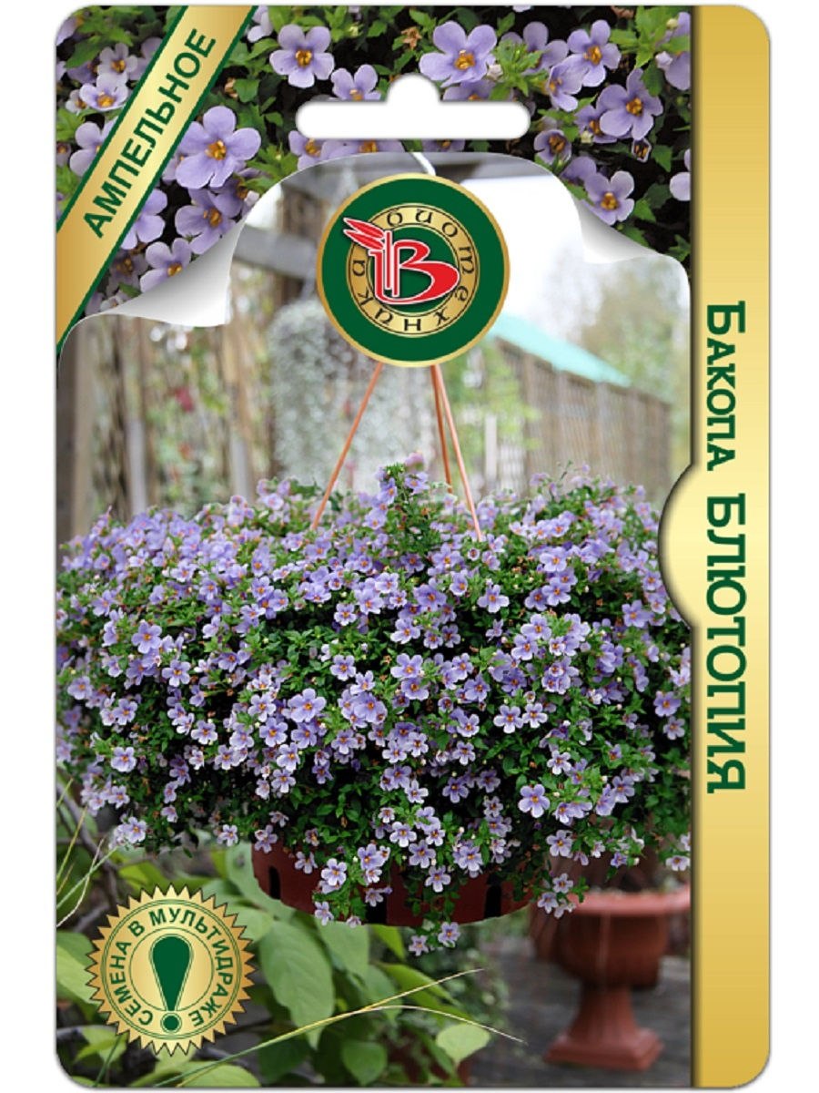 Бакопа ампельная семена