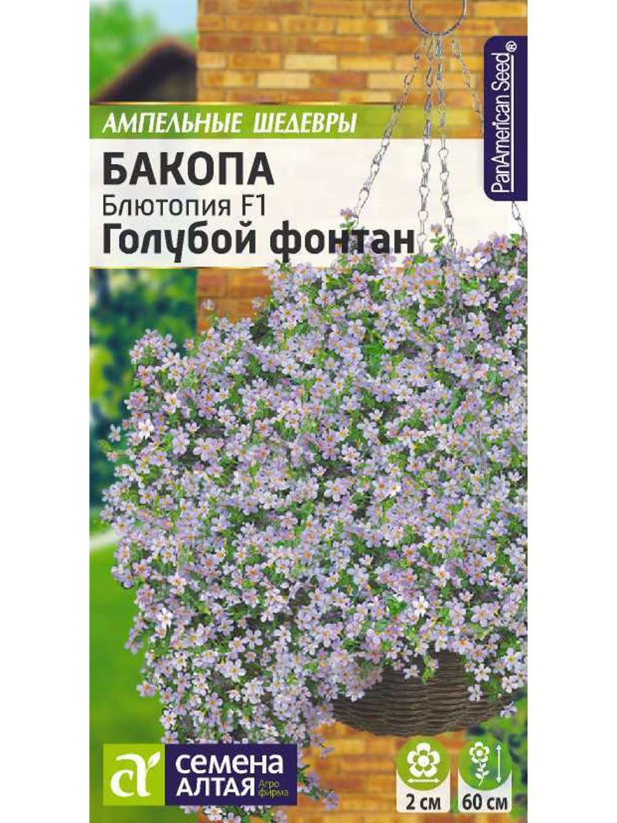 Цветок Бакопа ампельная