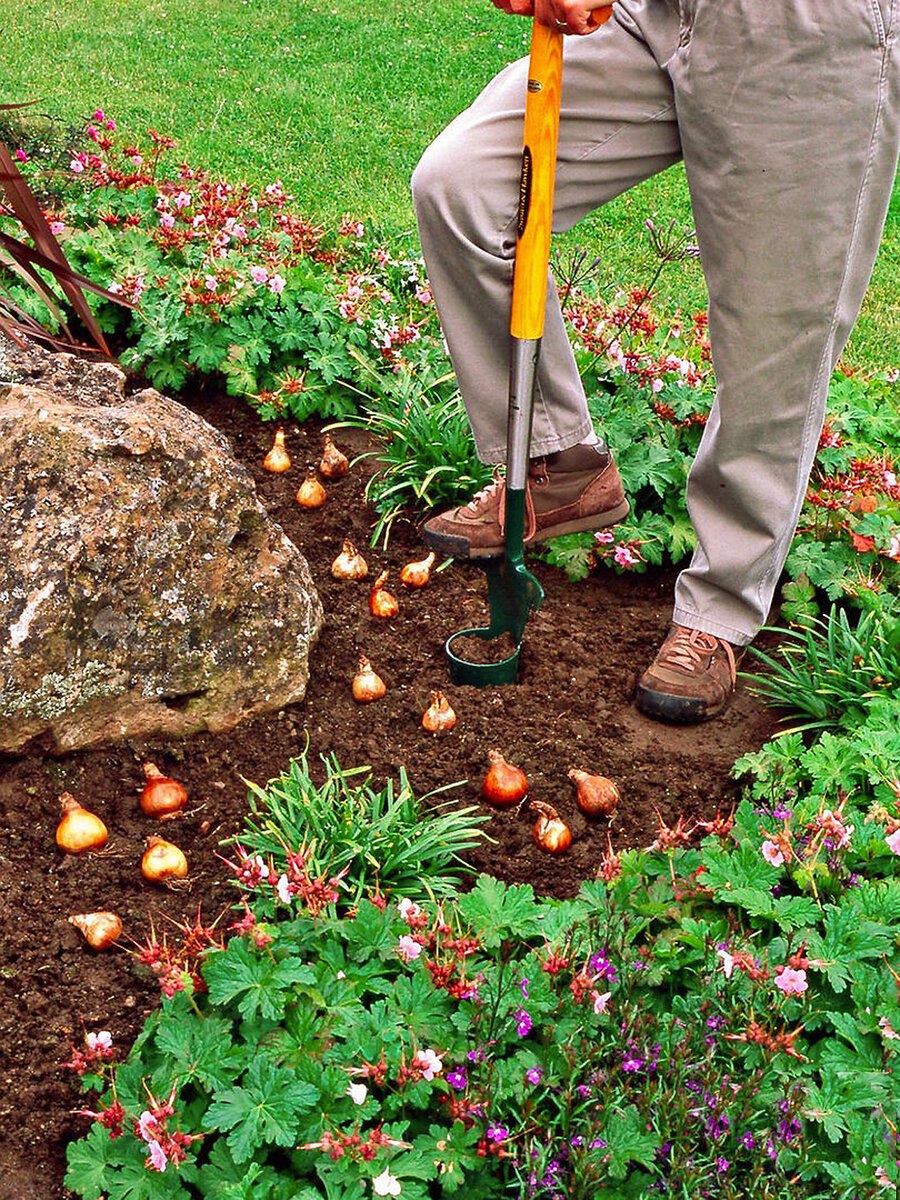 Весенняя посадка растений