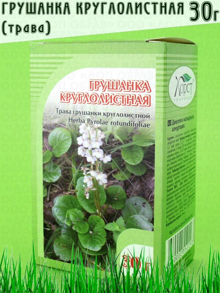 Грушанка круглолистная