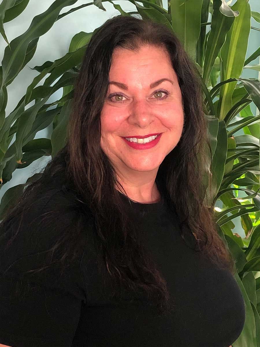 Огненное дерево Делоникс Королевский