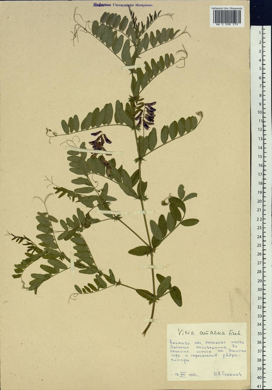 Белый фон для фотошопа