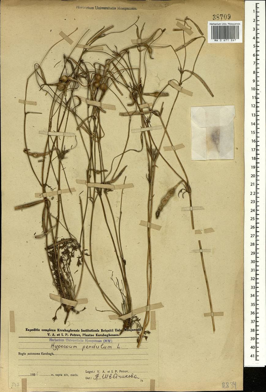 Ирвинг Дженис