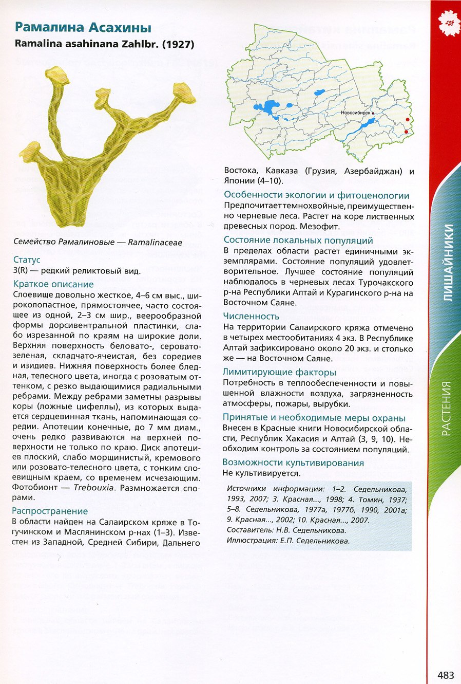 Лишайник накипной микроскоп