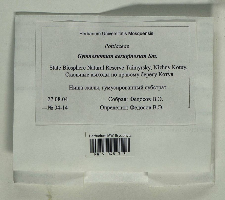 Pleurozium schreberi