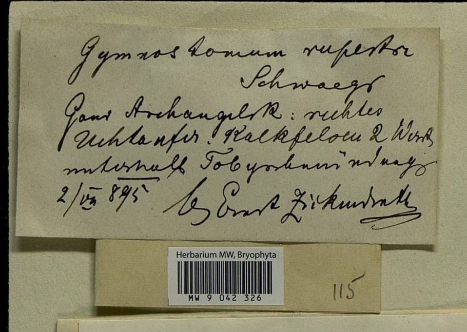 Открытое письмо