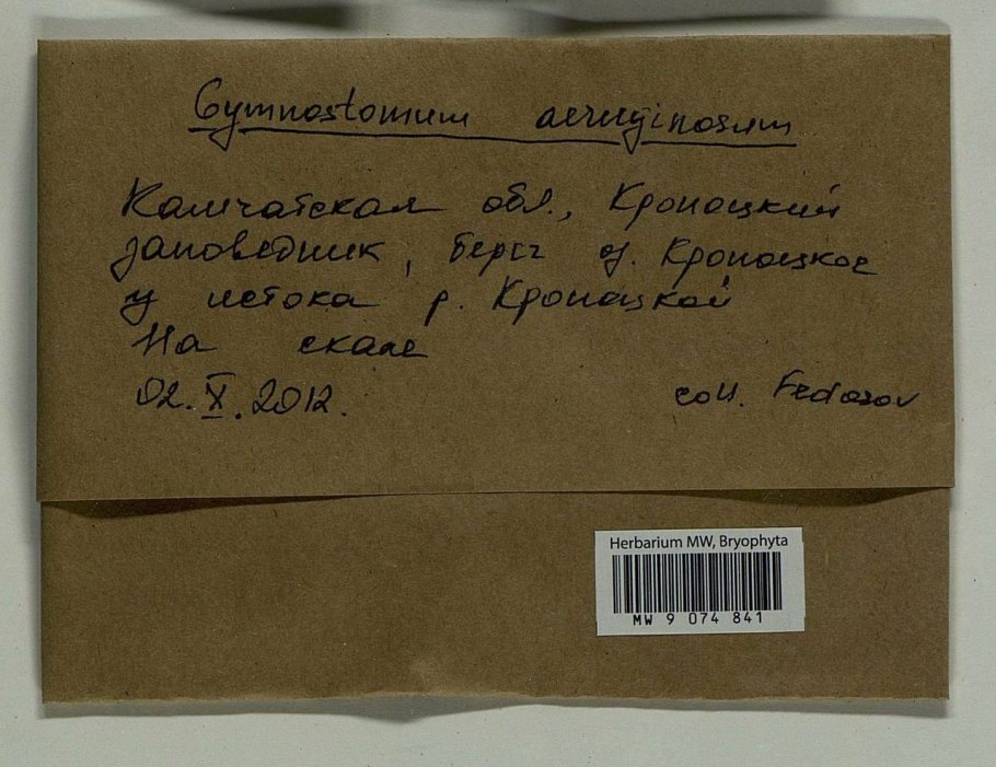 2nd Generation Leaf Cells