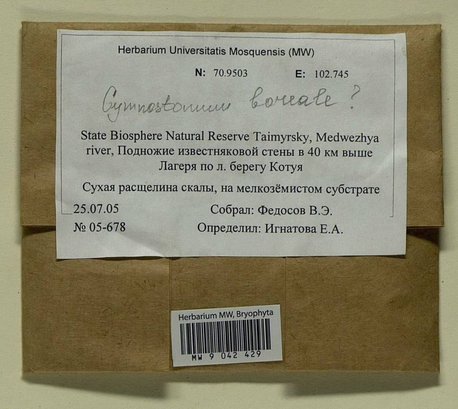 Флора россии