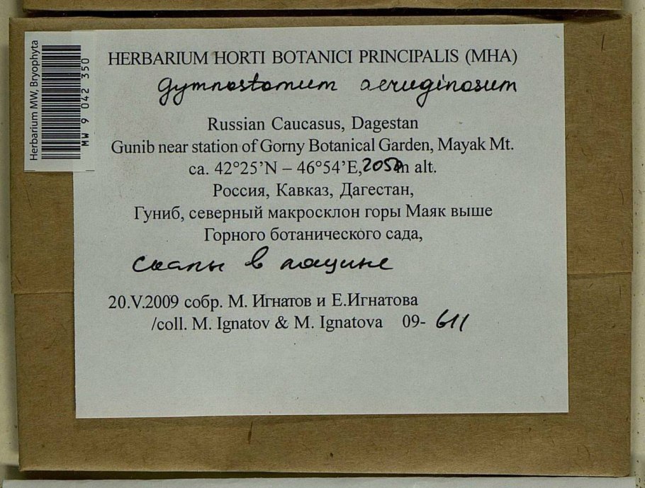 Растения в природе