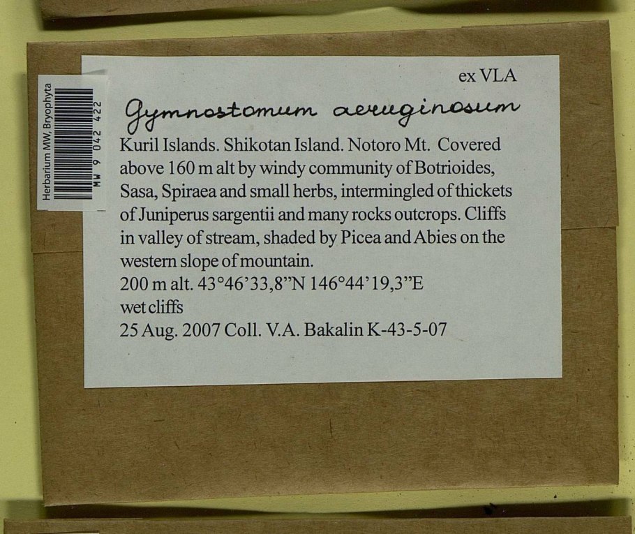 Флора россии