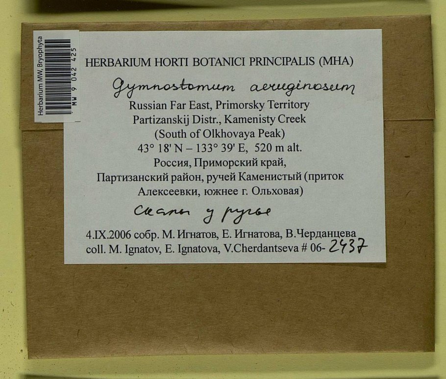 Флора россии