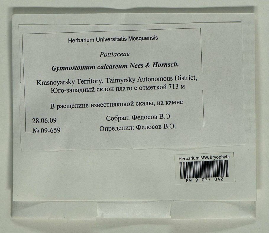 Флора россии