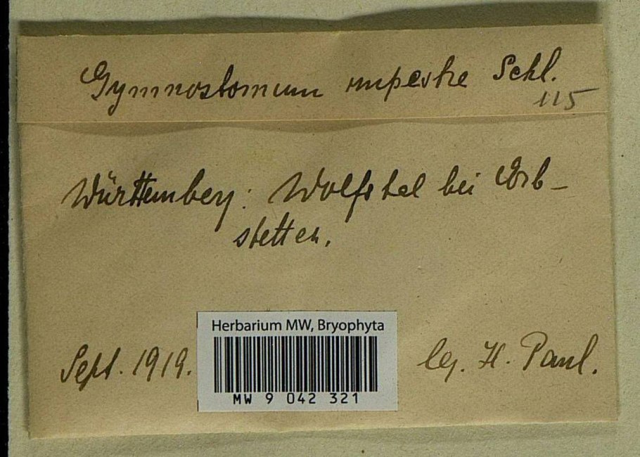 Немецкое письмо