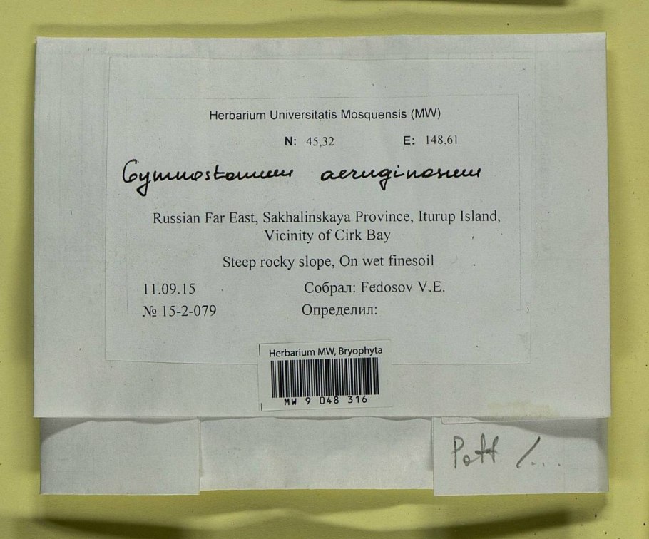 Флора россии