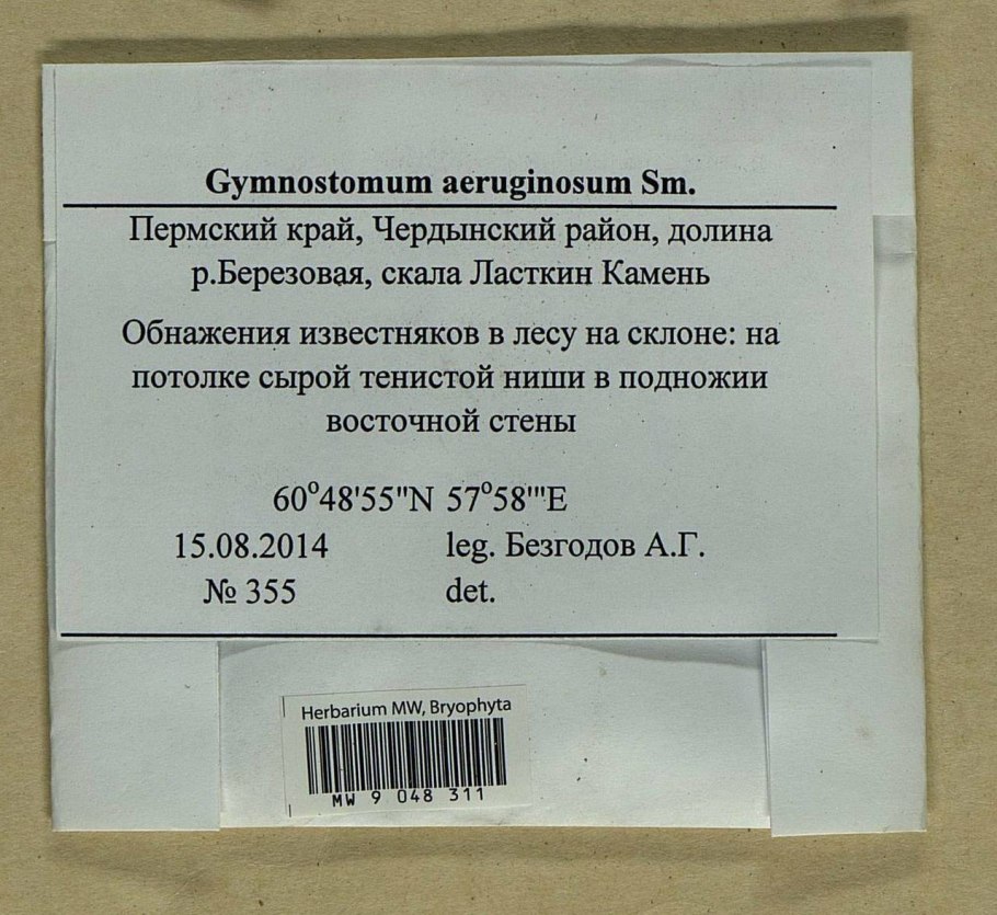 Drepanocladus polygamus