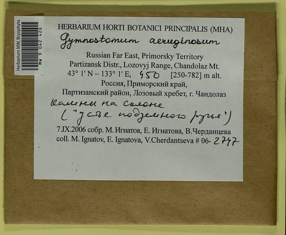 Флора россии