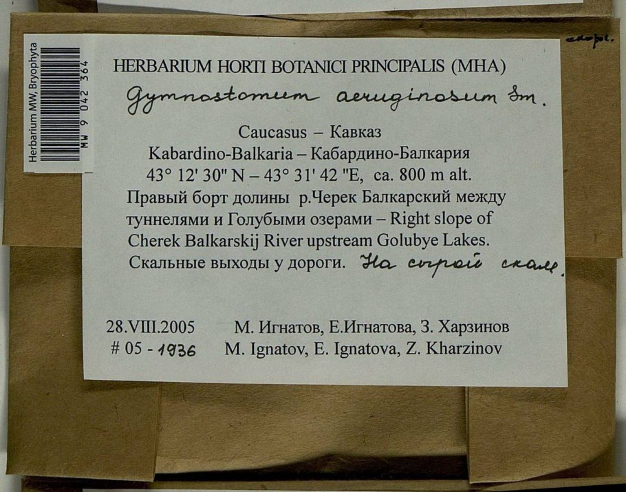 Флора россии