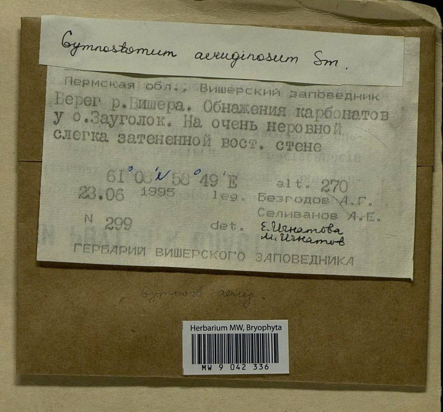 Флора россии