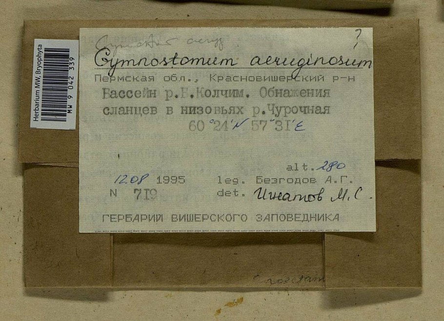 Растения урала