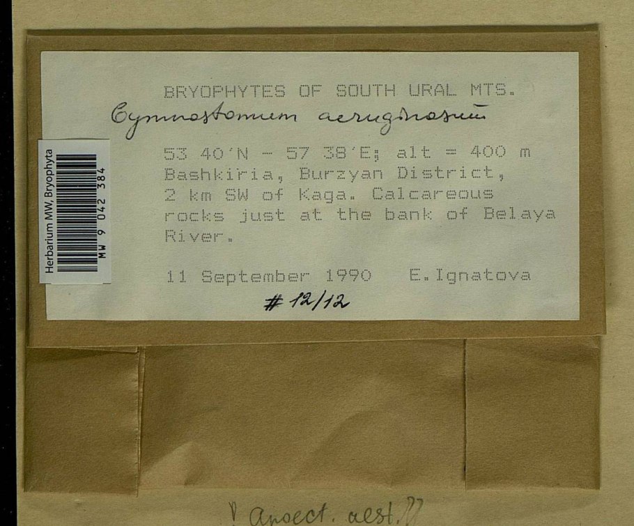 Этикетка для гербария