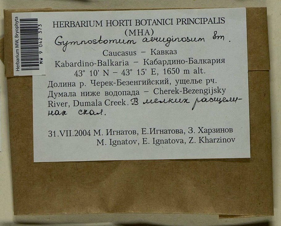 Фотографии растений