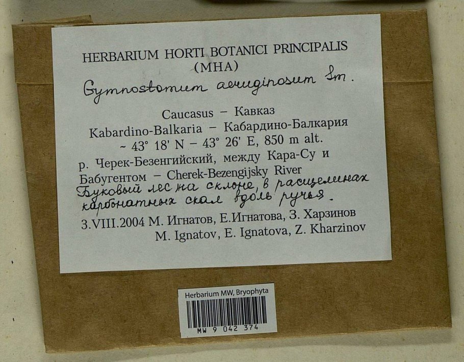 Флора россии