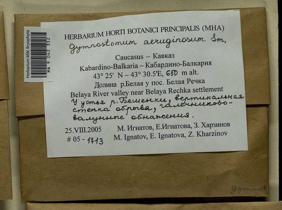 Флора россии