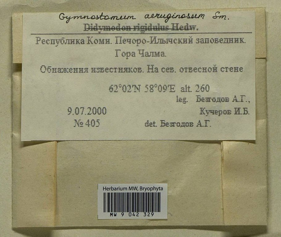 Этикетка для гербария