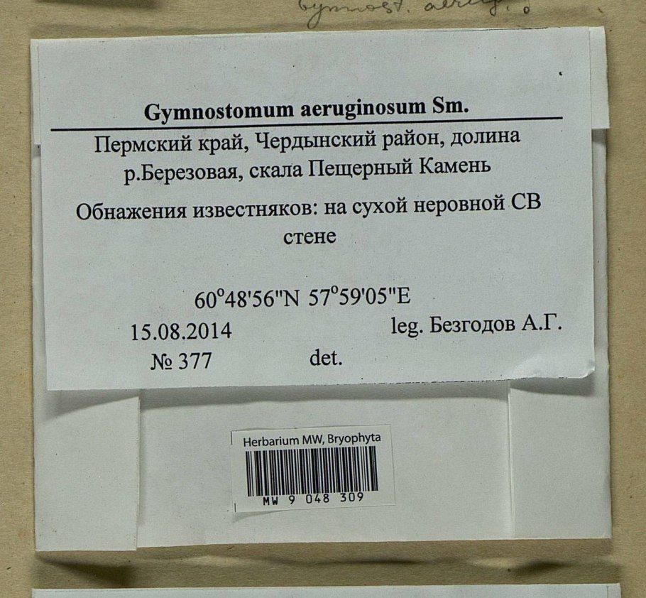 Кировск мурманская область