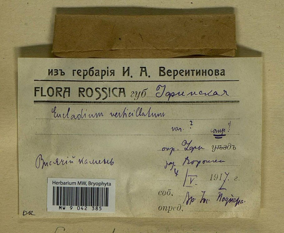 Письма военные